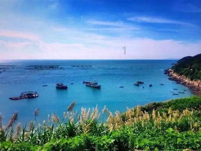 李佳琦又出争议事件，直播间“新年卖寿衣”，用沉默面对网友质疑