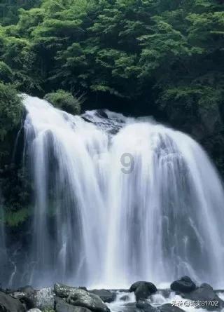 走路快与走路慢的人，谁更长寿？游戏画面