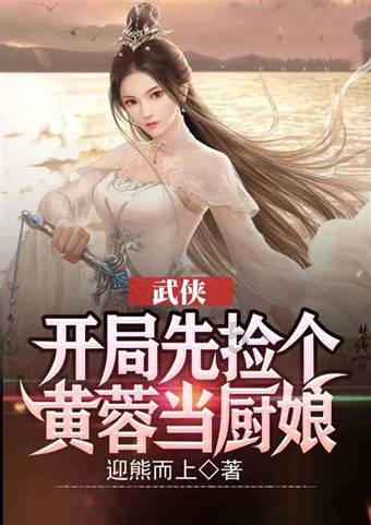 彼得比尔特379拼图